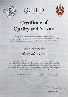 WhatsApp Image 2026-02-17 at 10.43.27